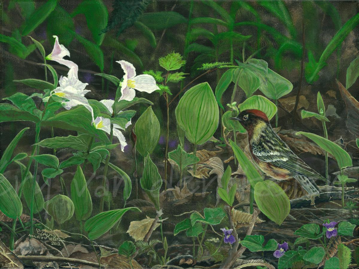 The woodland camouflage